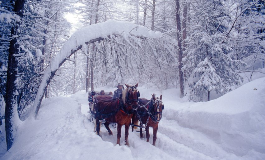 Slitta sulla neve trainata dai cavalli | © Archivio APT Val di Sole 