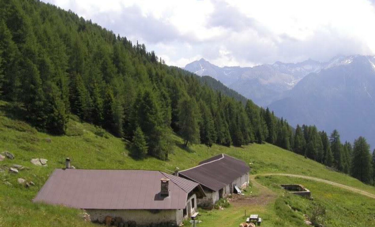 Malga Campo | © APT - Valli di Sole, Peio e Rabbi