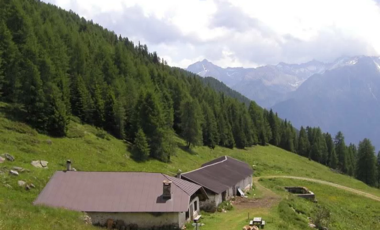 Malga Campo | © APT Valli di Sole, Peio e Rabbi