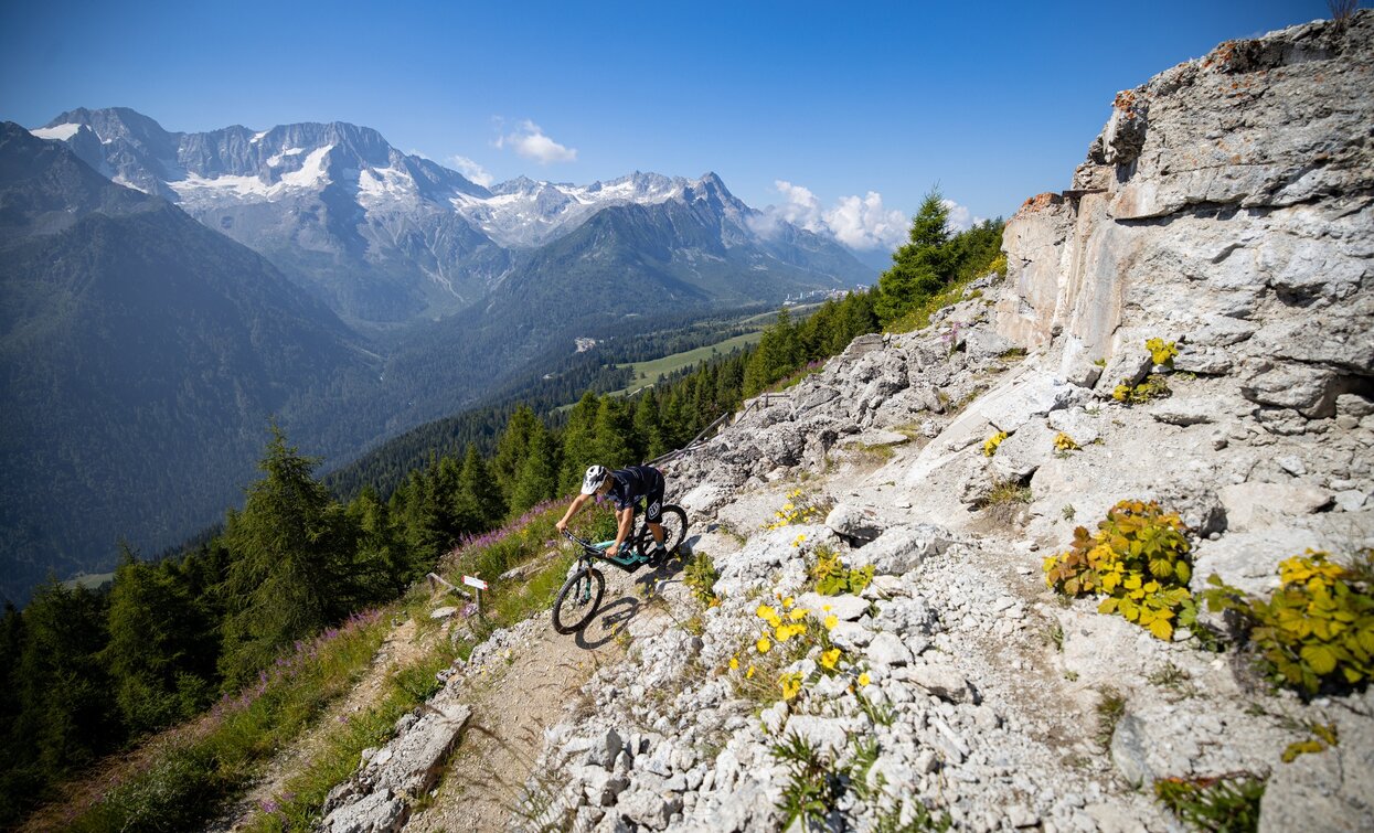 © Michele Mondini, APT Valli di Sole, Peio e Rabbi