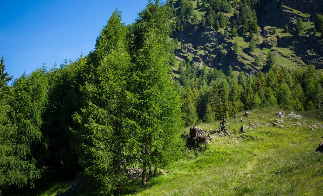 © Matteo Cappè, APT Valli di Sole, Peio e Rabbi
