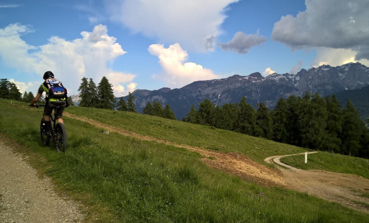 Route Larici Secolari | © Sergio Battistini, APT Valli di Sole, Peio e Rabbi