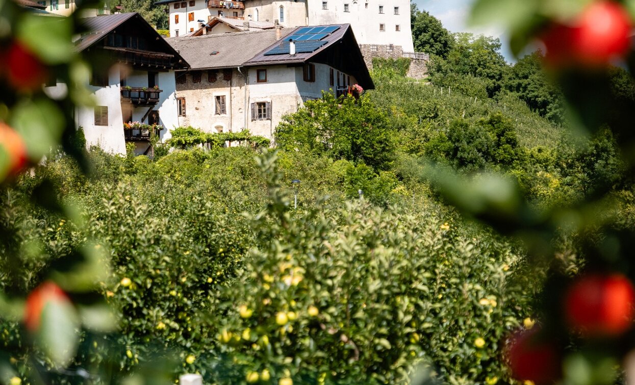 Castel Caldes zwischen den Apfelgärten | © Nicola Cagol , APT - Valli di Sole, Peio e Rabbi