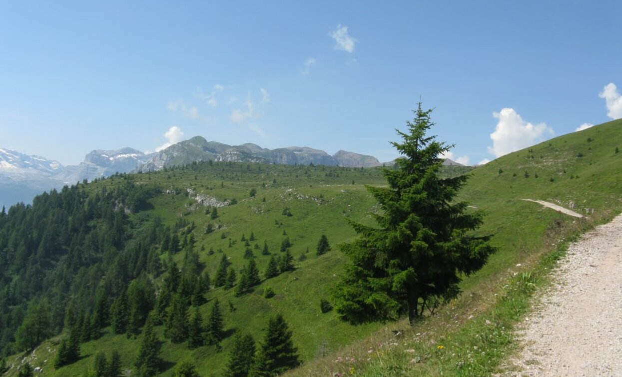 Verso Malga Tassulla | © Sergio Battistini, APT Valli di Sole, Peio e Rabbi