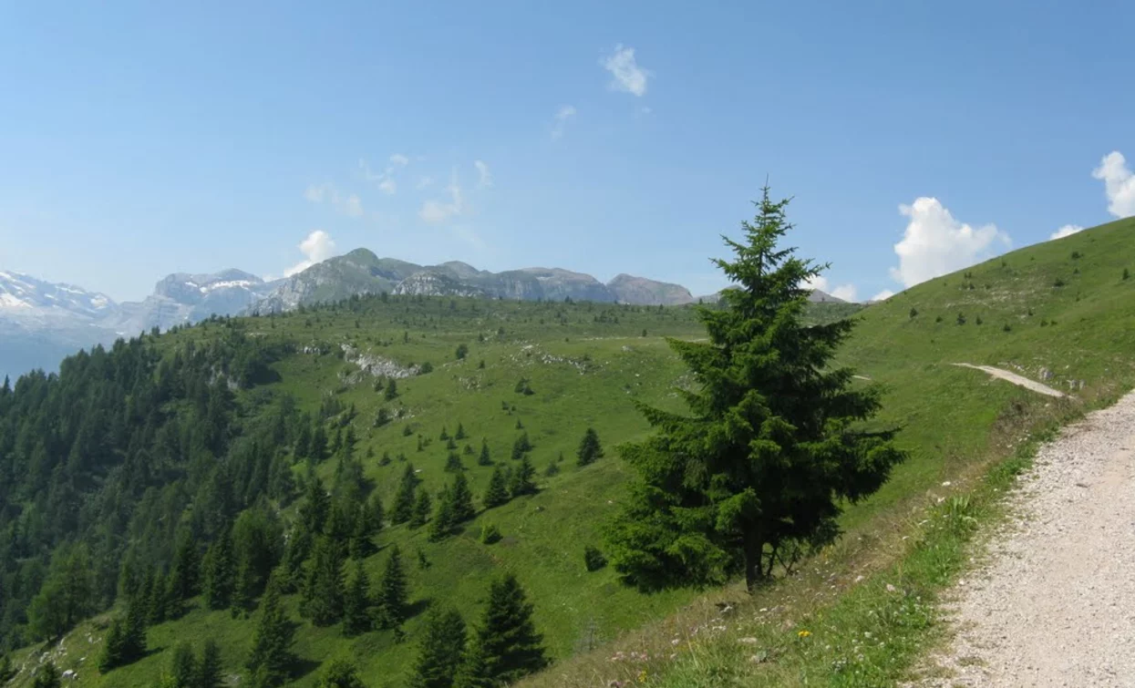Towards Malga Tassulla | © Sergio Battistini, APT Valli di Sole, Peio e Rabbi