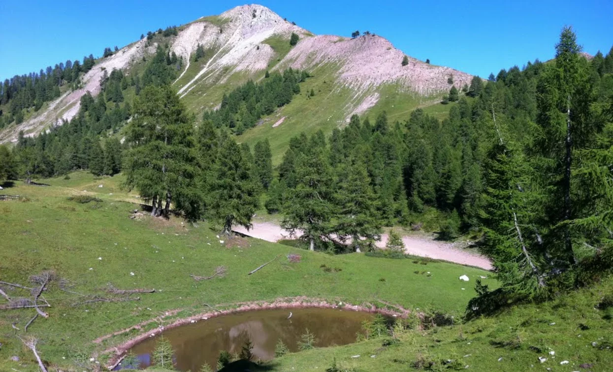 Salare Lake | © Sergio Battistini, APT Valli di Sole, Peio e Rabbi
