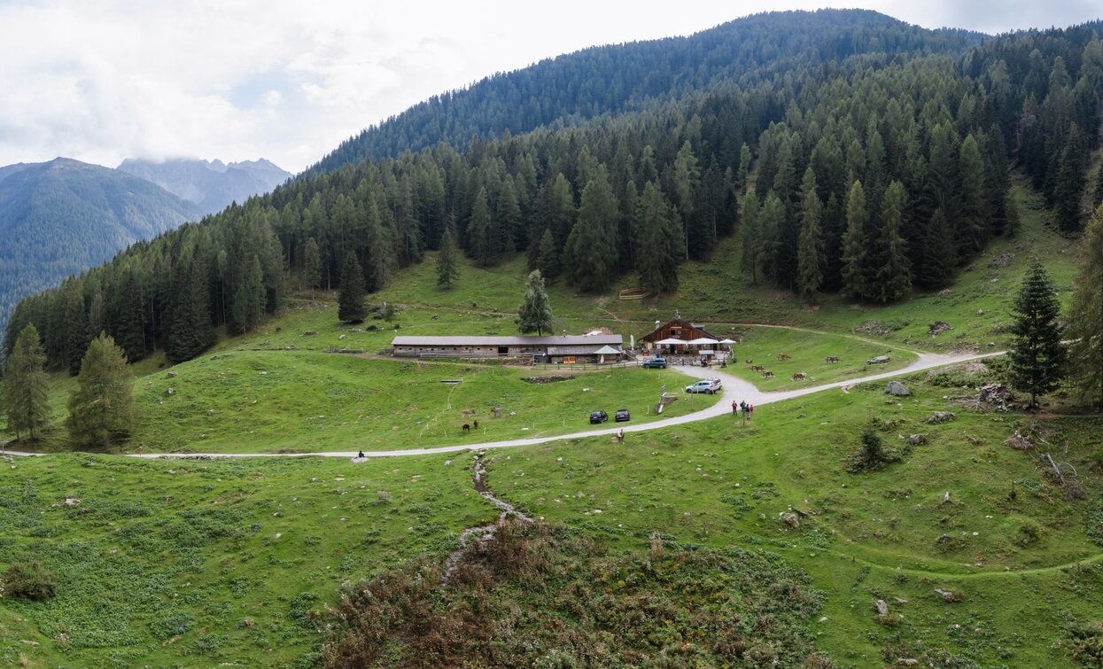 Malga Fratte | © G. Podetti, APT Valli di Sole, Peio e Rabbi