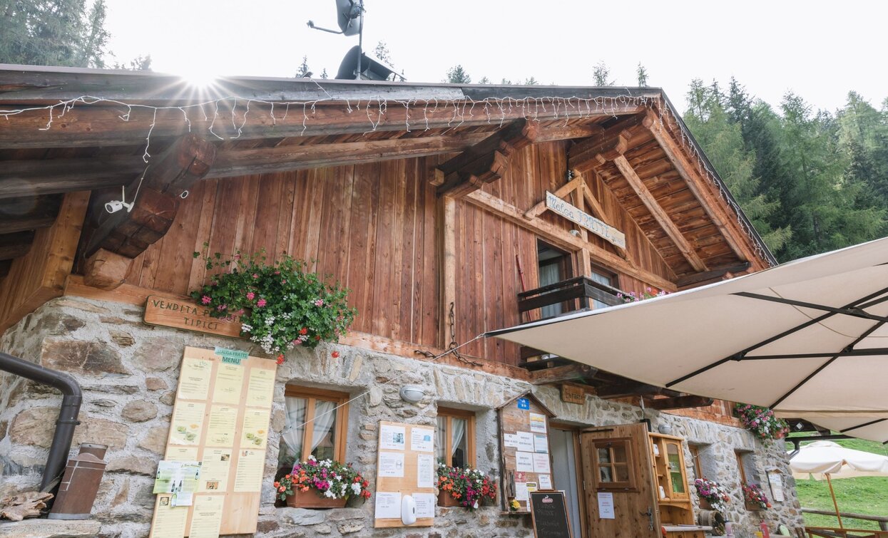 Malga Fratte | © G. Podetti, APT Valli di Sole, Peio e Rabbi