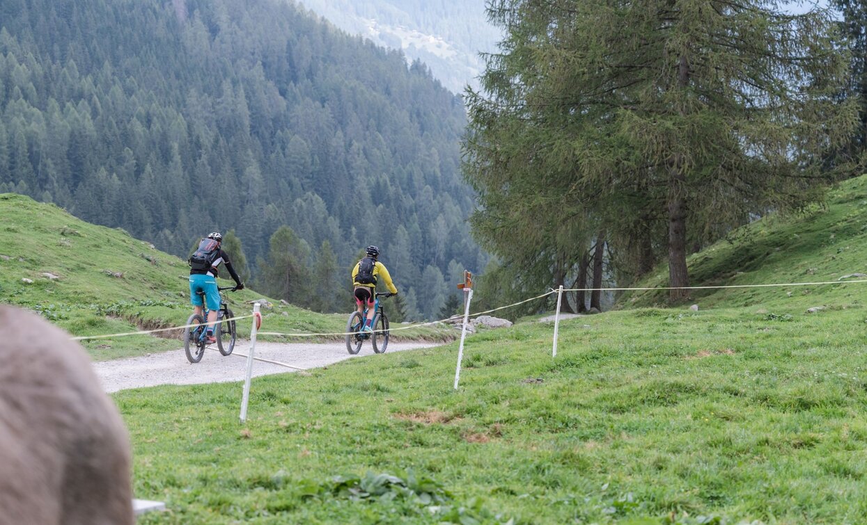 Route Val di Rabbi | © G. Podetti, APT Valli di Sole, Peio e Rabbi