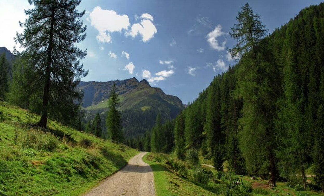 Merso Malga Cercena | © APT Valli di Sole, Peio e Rabbi