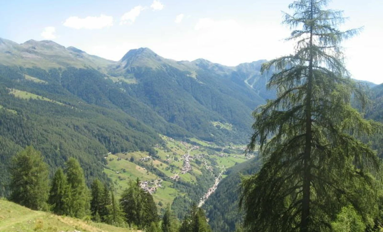 Vista da Malga Fratte Alta | © APT - Valli di Sole, Peio e Rabbi