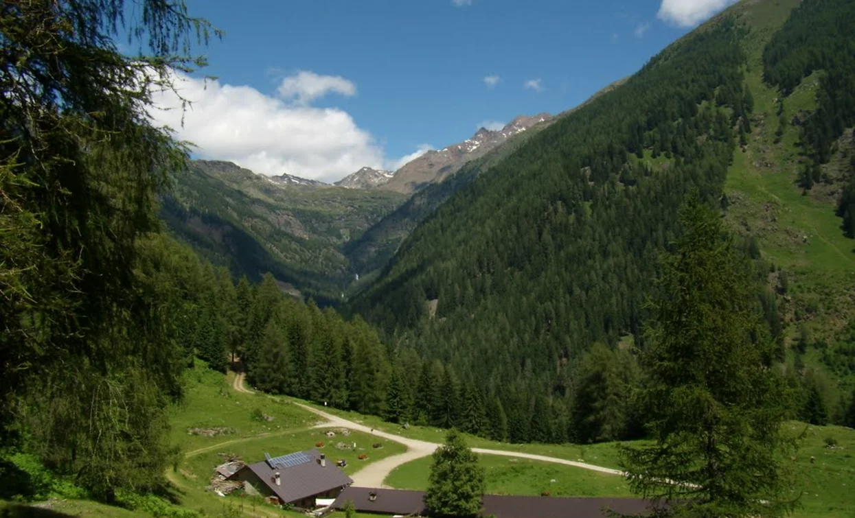 Malga Fratte Bassa | © Sergio Battistini, APT - Valli di Sole, Peio e Rabbi
