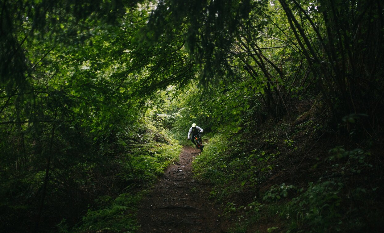 © APT Valli di Sole, Peio e Rabbi