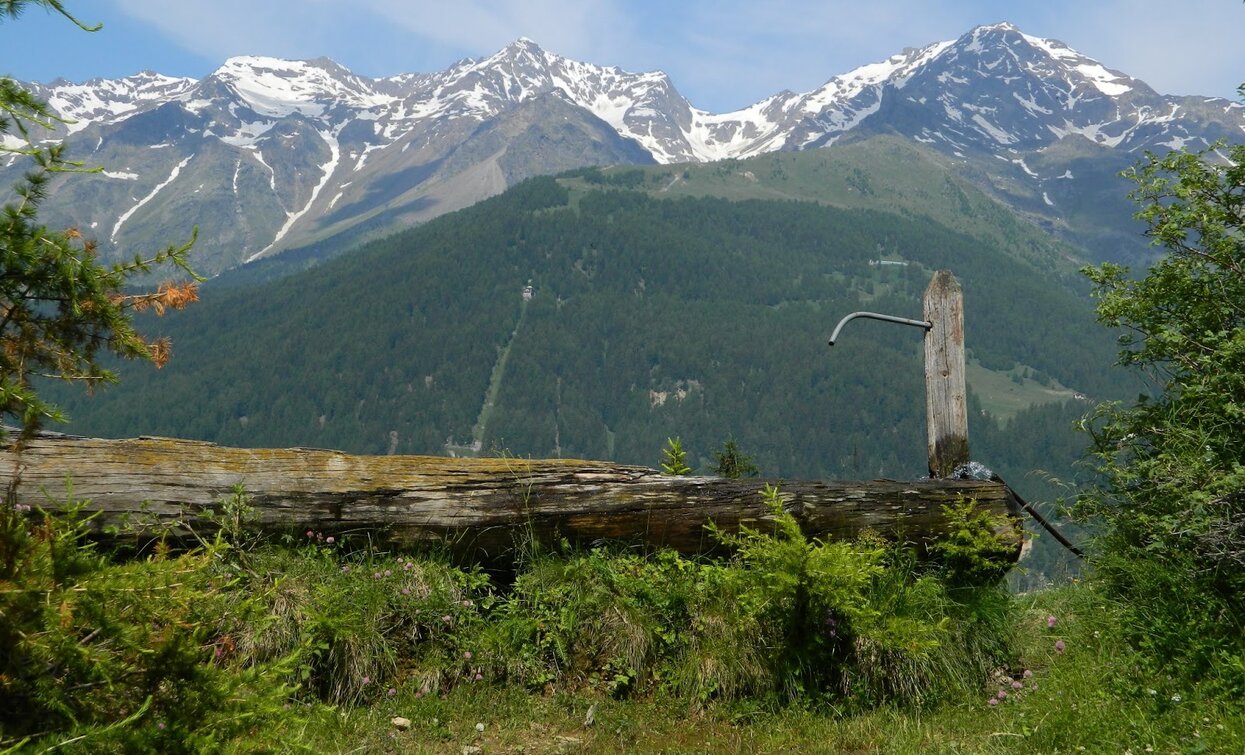 Vista Fratta Aperta | © Sergio Battistini, APT Valli di Sole, Peio e Rabbi