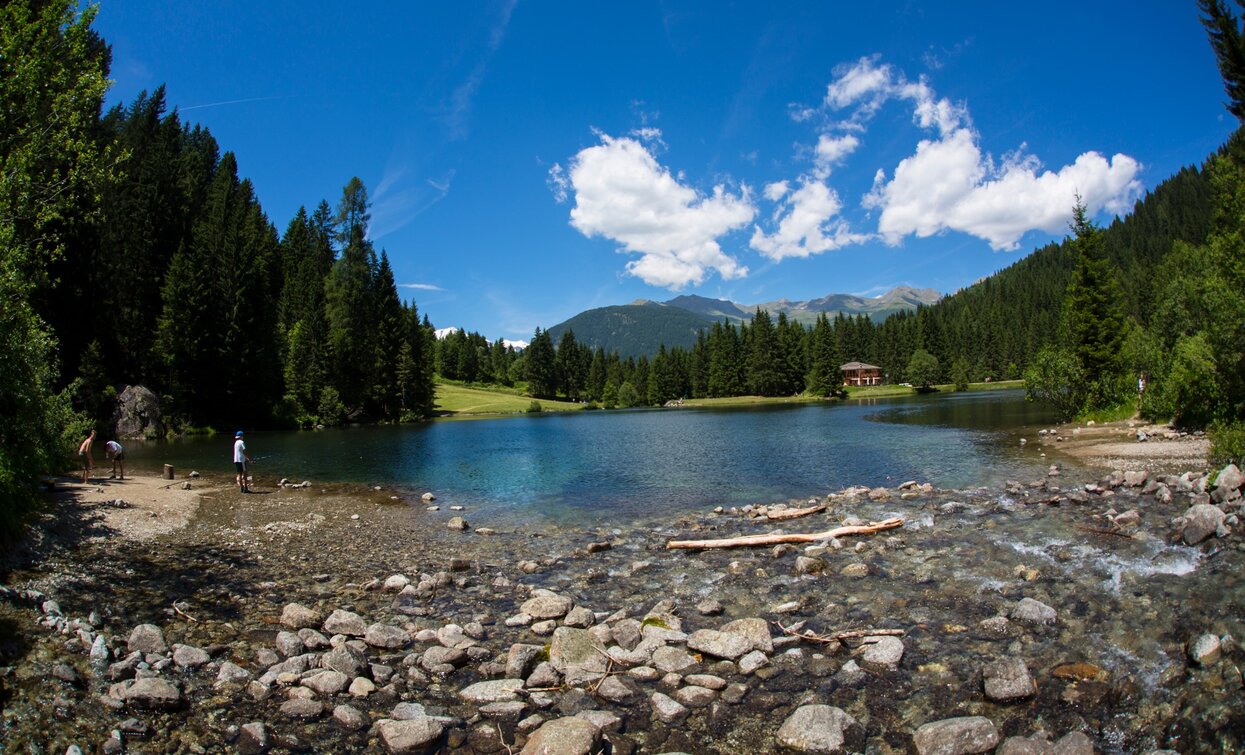 Il Lago dei Caprioli, a Pellizzano | © Foto Matteo Cappè , APT Valli di Sole, Peio e Rabbi