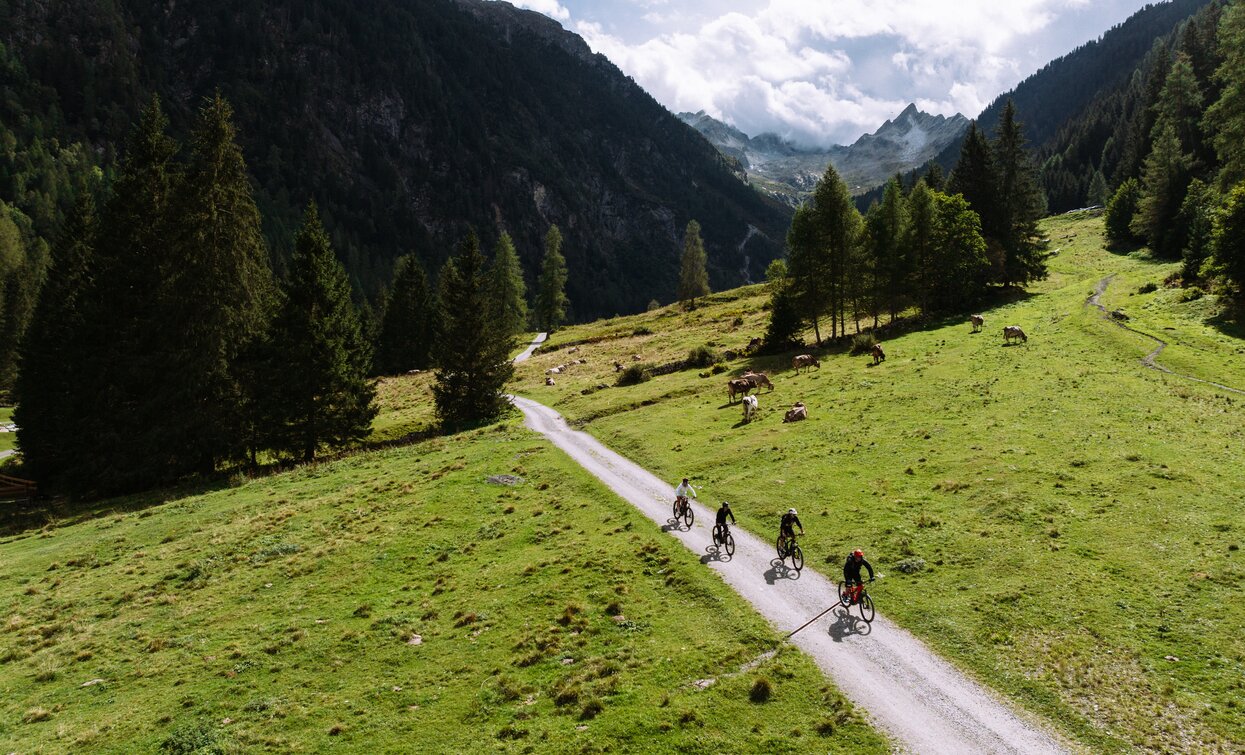 Tour Malga del Doss | © Alice Russolo, APT Valli di Sole, Peio e Rabbi