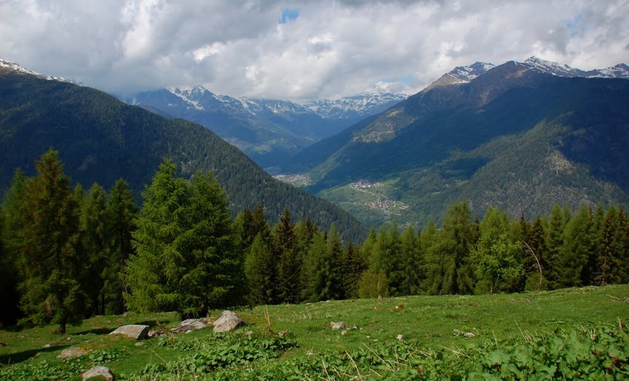 Panorama da Malga del Doss | © Sergio Battistini, APT Valli di Sole, Peio e Rabbi