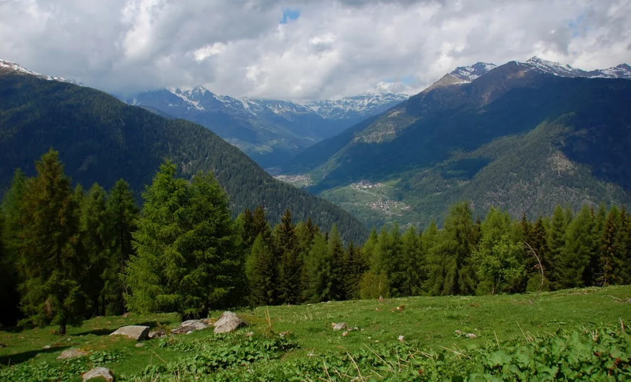 View from Malga del Doss | © Sergio Battistini, APT Valli di Sole, Peio e Rabbi