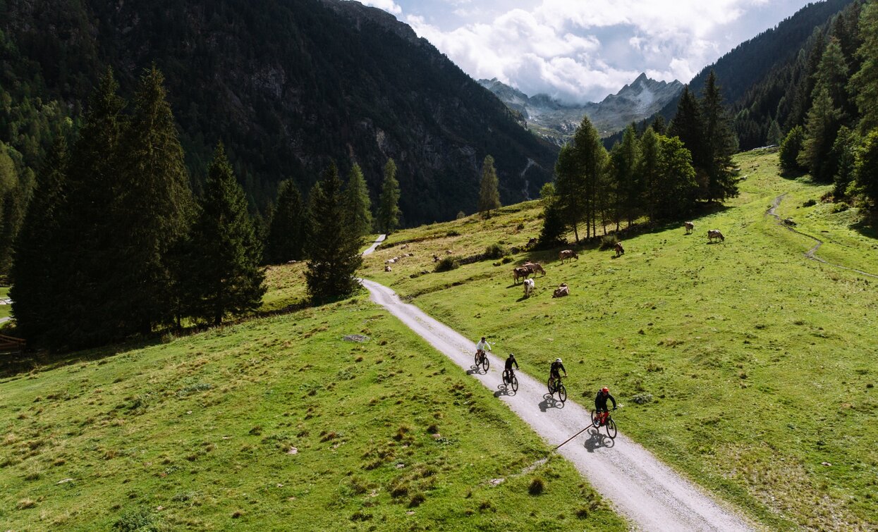 Route Malga del Doss | © Alice Russolo, APT Valli di Sole, Peio e Rabbi