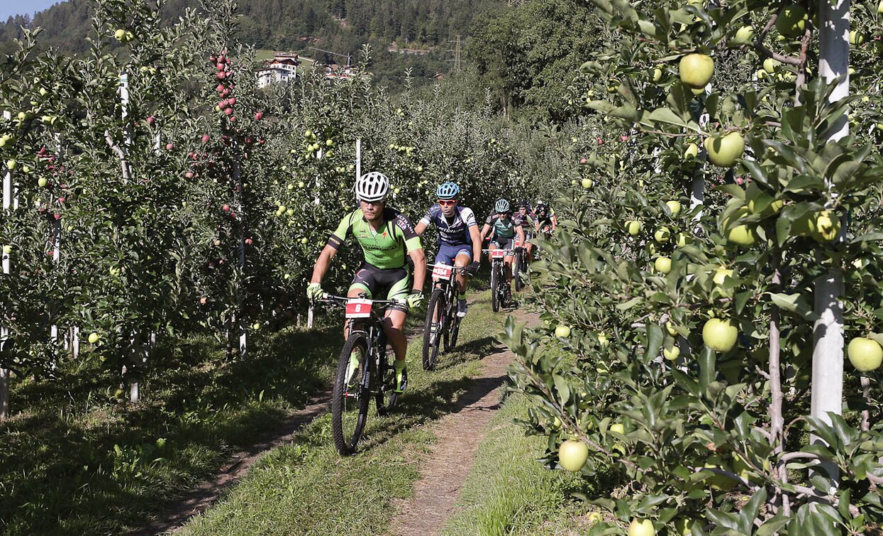 © Sergio Battistini, APT - Valli di Sole, Peio e Rabbi