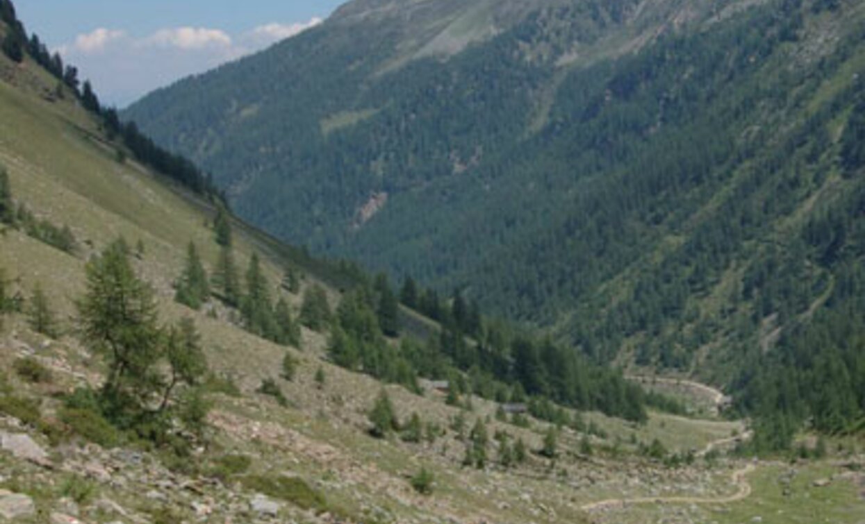 © Sergio Battistini, APT - Valli di Sole, Peio e Rabbi