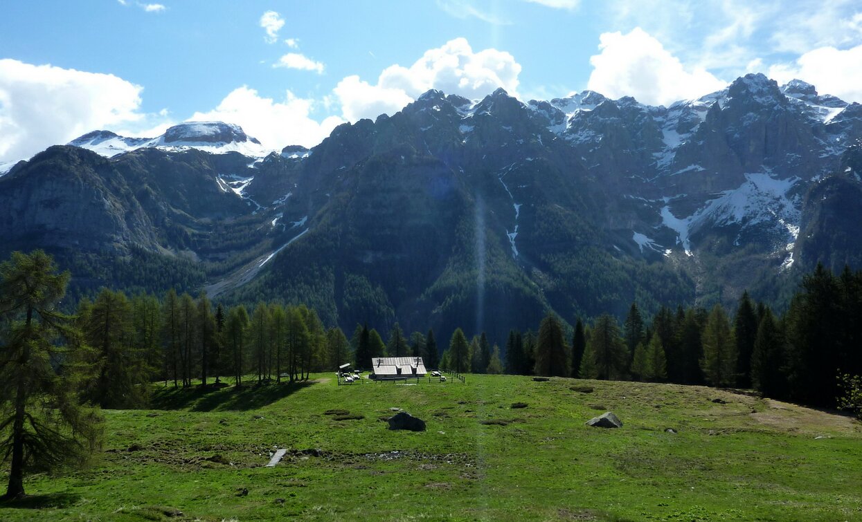 © TRACCIAtour SRL , APT Valli di Sole, Peio e Rabbi