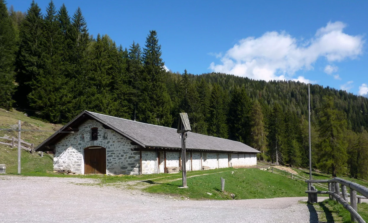 © TRACCIAtour SRL , APT Valli di Sole, Peio e Rabbi