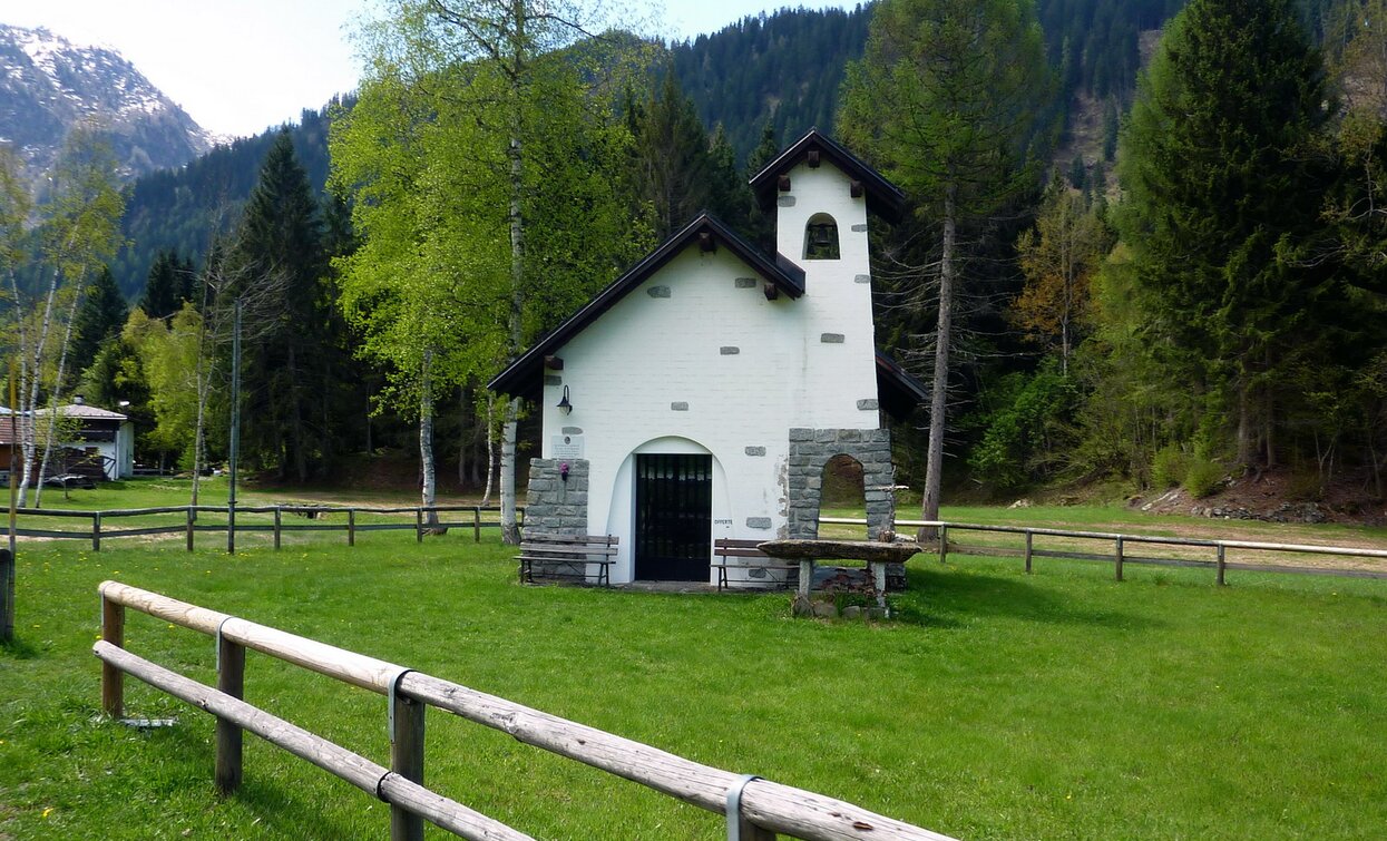 © TRACCIAtour SRL , APT - Valli di Sole, Peio e Rabbi