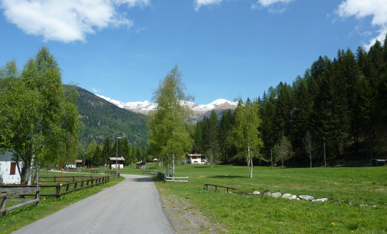 © TRACCIAtour SRL , APT - Valli di Sole, Peio e Rabbi