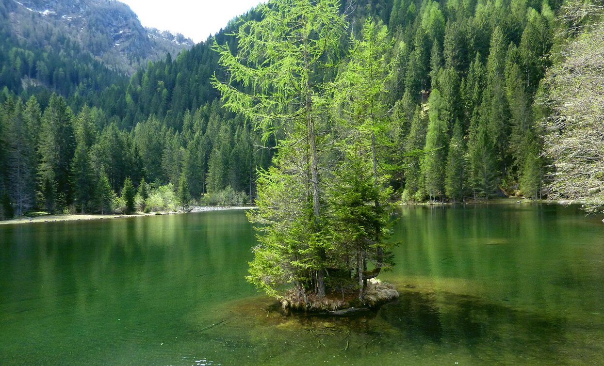 © TRACCIAtour SRL , APT - Valli di Sole, Peio e Rabbi