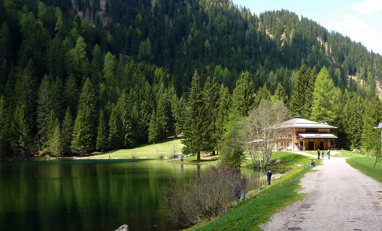 © TRACCIAtour SRL , APT - Valli di Sole, Peio e Rabbi