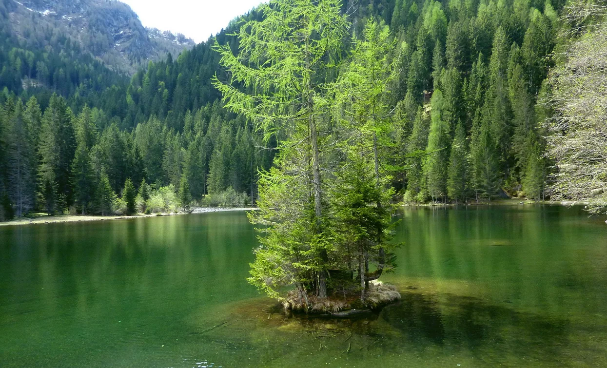 © TRACCIAtour SRL , APT Valli di Sole, Peio e Rabbi