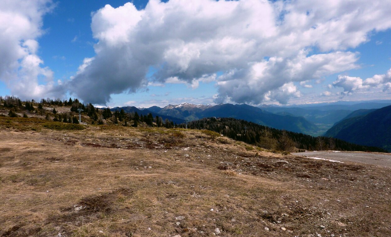© TRACCIAtour SRL , APT - Valli di Sole, Peio e Rabbi