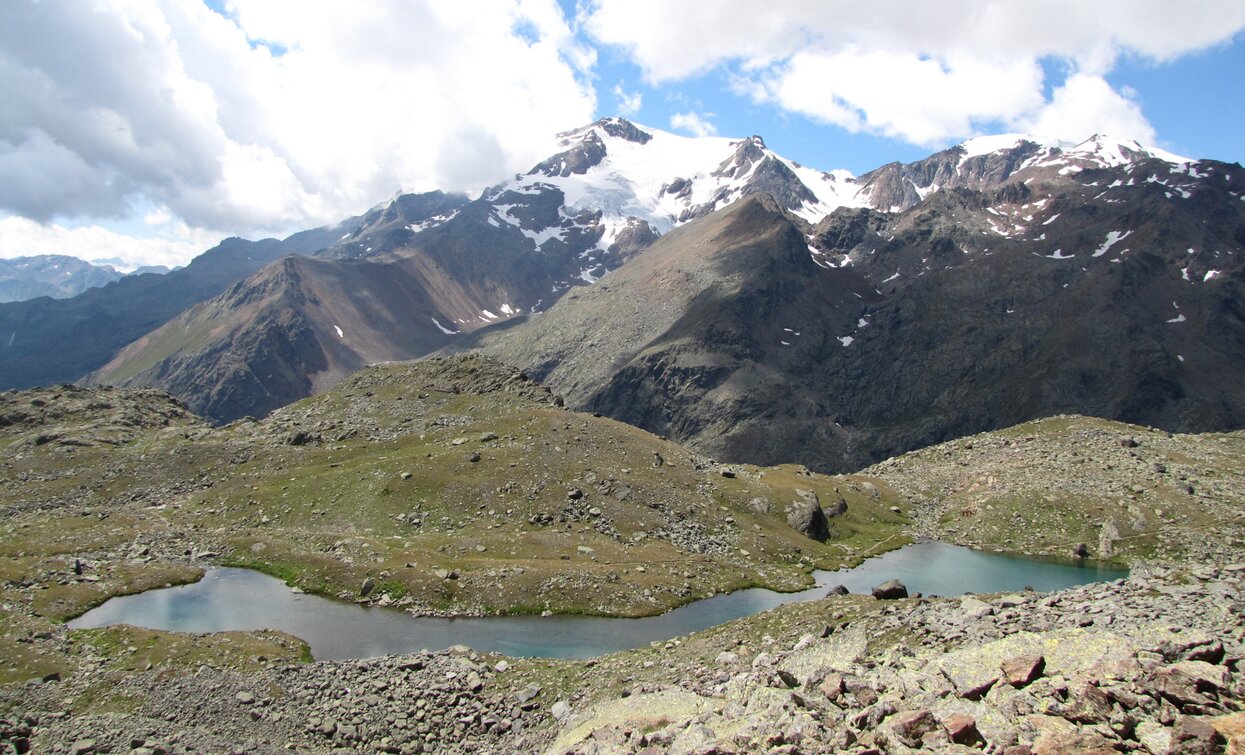 Die Seen des Cevedale | © Ph Bezzi Paola, APT - Valli di Sole, Peio e Rabbi