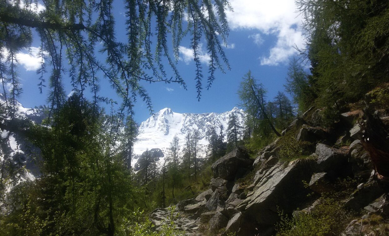 © Azienda Turismo Val di Sole, APT - Valli di Sole, Peio e Rabbi