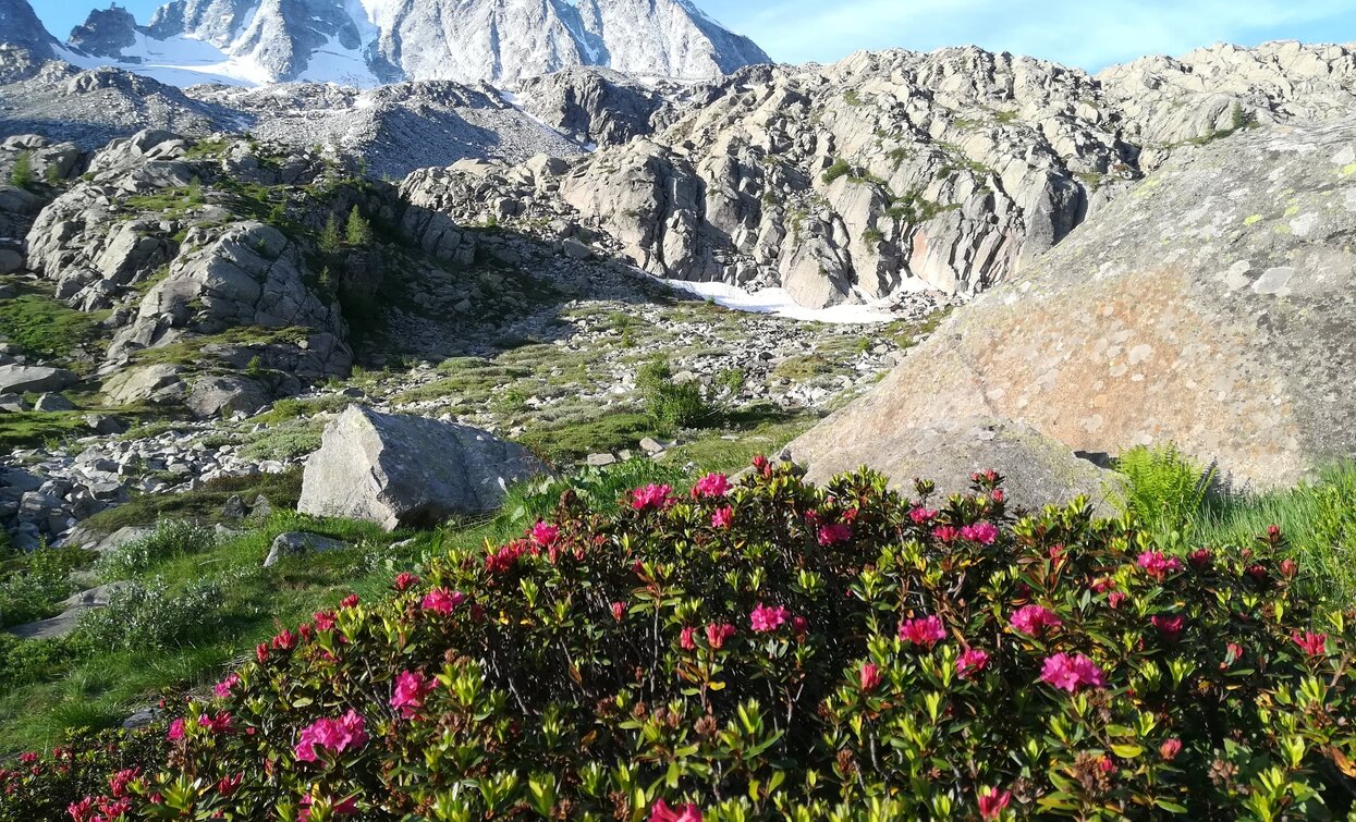 © Azienda Turismo Val di Sole, APT Valli di Sole, Peio e Rabbi