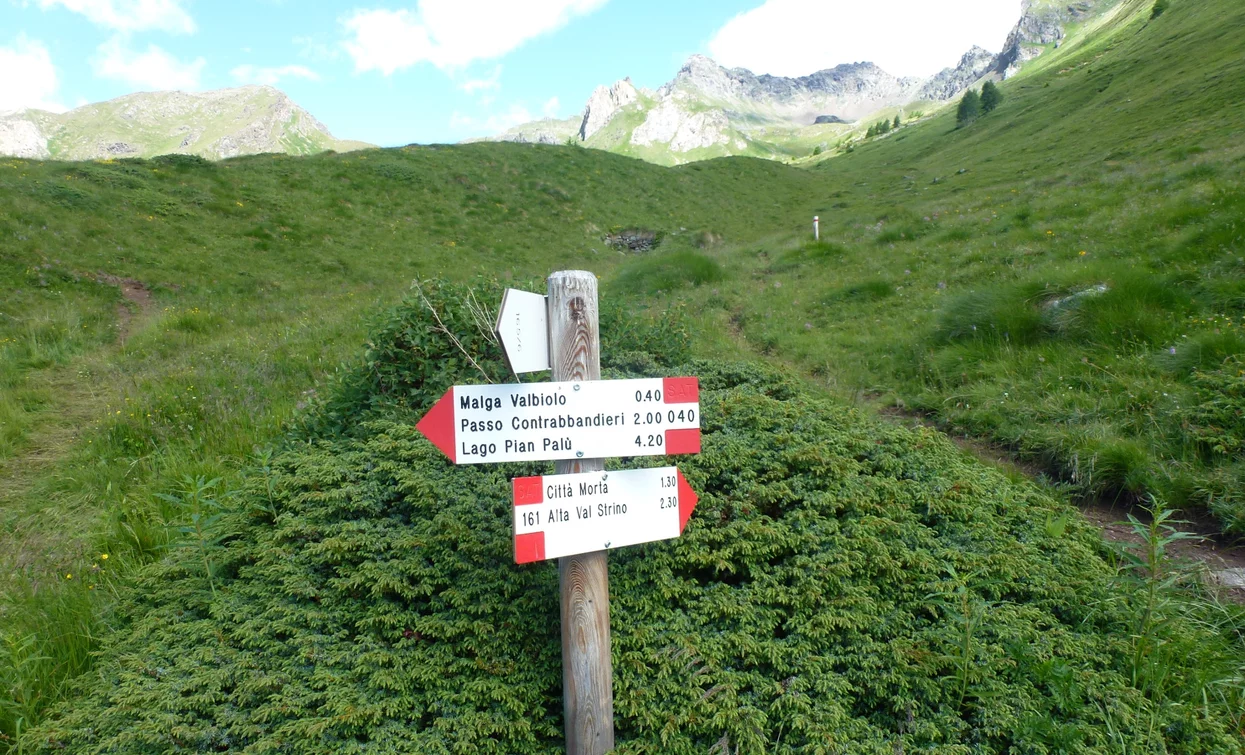 Monte Tonale Orientale | © Ph Guide Alpine Val di Sole, APT Valli di Sole, Peio e Rabbi