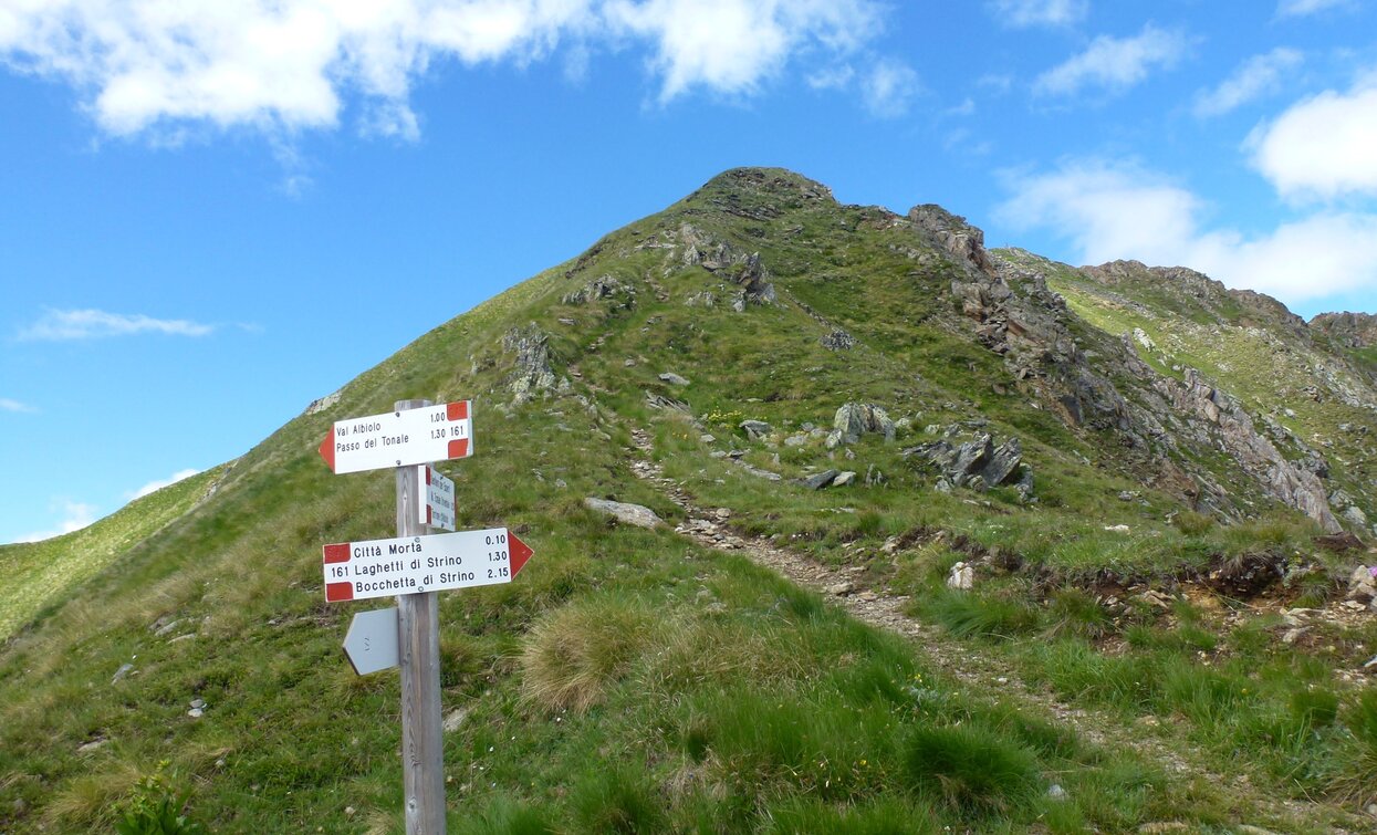 Monte Tonale Orientale | © Ph Guide Alpine Val di Sole, APT - Valli di Sole, Peio e Rabbi