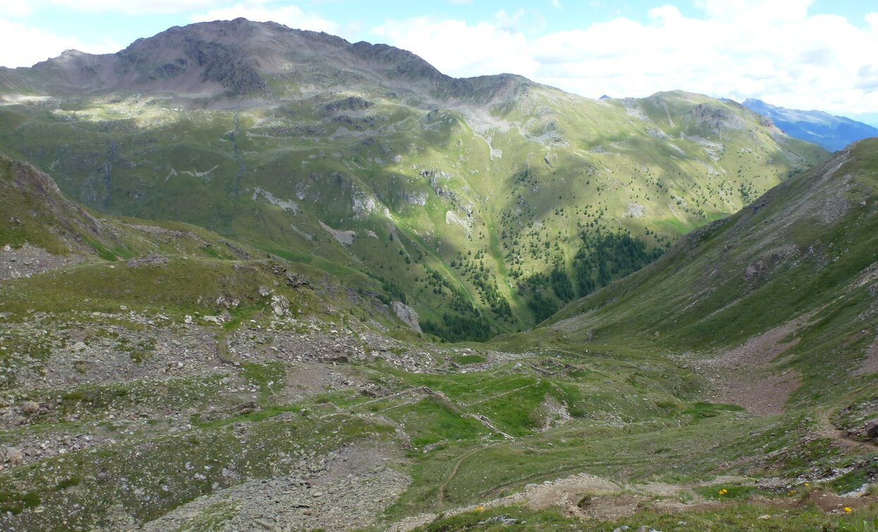 Monte Tonale Orientale | © Ph Guide Alpine Val di Sole, APT - Valli di Sole, Peio e Rabbi