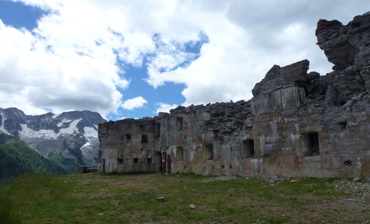 Monte Tonale Orientale | © Ph Guide Alpine Val di Sole, APT - Valli di Sole, Peio e Rabbi