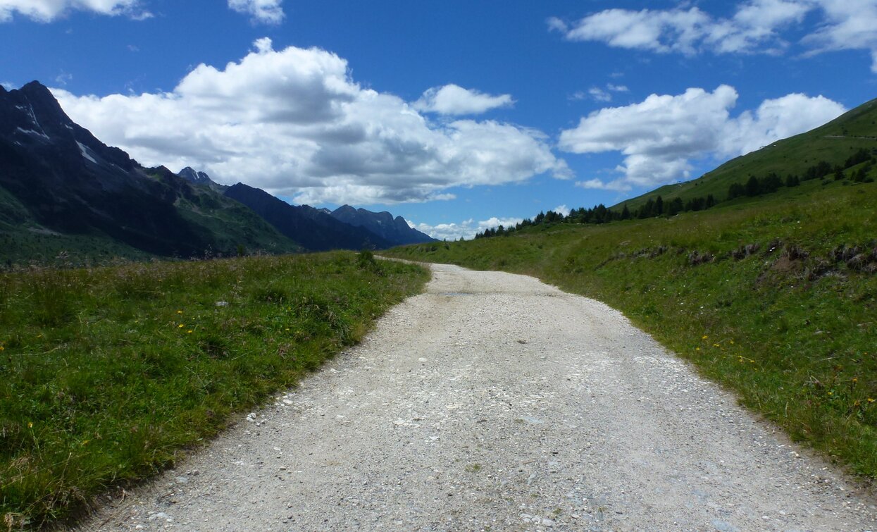 Monte Tonale Orientale | © Ph Guide Alpine Val di Sole, APT - Valli di Sole, Peio e Rabbi