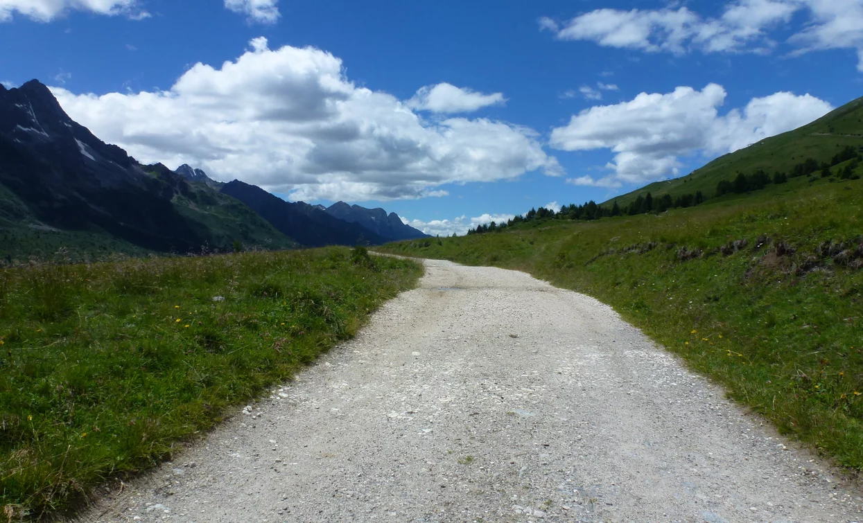Monte Tonale Orientale | © Ph Guide Alpine Val di Sole, APT Valli di Sole, Peio e Rabbi