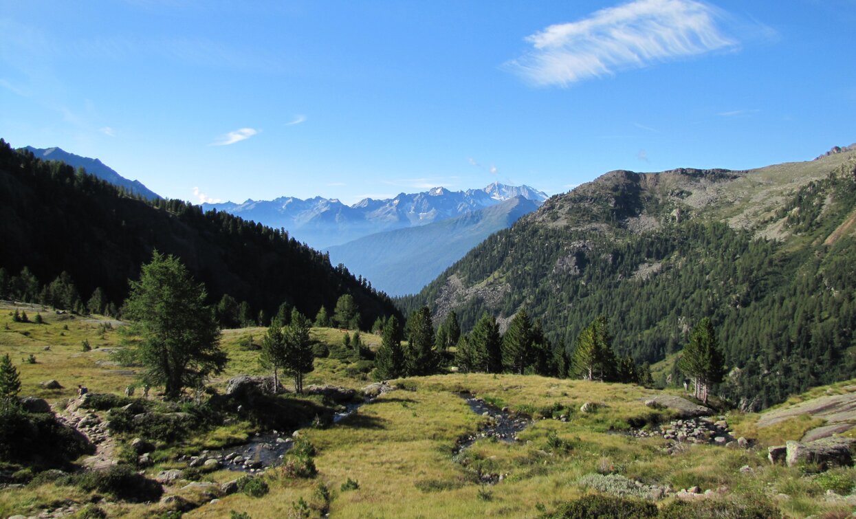 Schutzhütte Cevedale «G. Larcher» | © Ph Bezzi Paola, APT - Valli di Sole, Peio e Rabbi