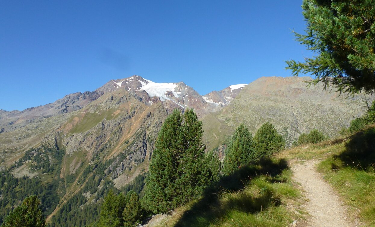 Cevedale mountain hut «G. Larcher» | © Ph Guide Alpine Val di Sole, APT Valli di Sole, Peio e Rabbi