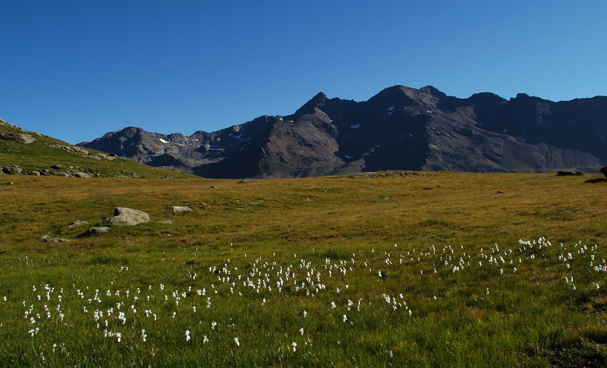 Rifugio Saènt «Silvio Dorigoni» | © Ph Guide Alpine Val di Sole, APT Valli di Sole, Peio e Rabbi