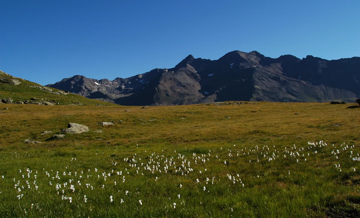 Schutzhütte Saènt «S. Dorigoni» | © Ph Guide Alpine Val di Sole, APT - Valli di Sole, Peio e Rabbi