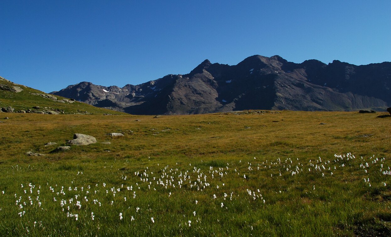 Rifugio Saènt «S. Dorigoni» alpine hut | © Ph Guide Alpine Val di Sole, APT Valli di Sole, Peio e Rabbi