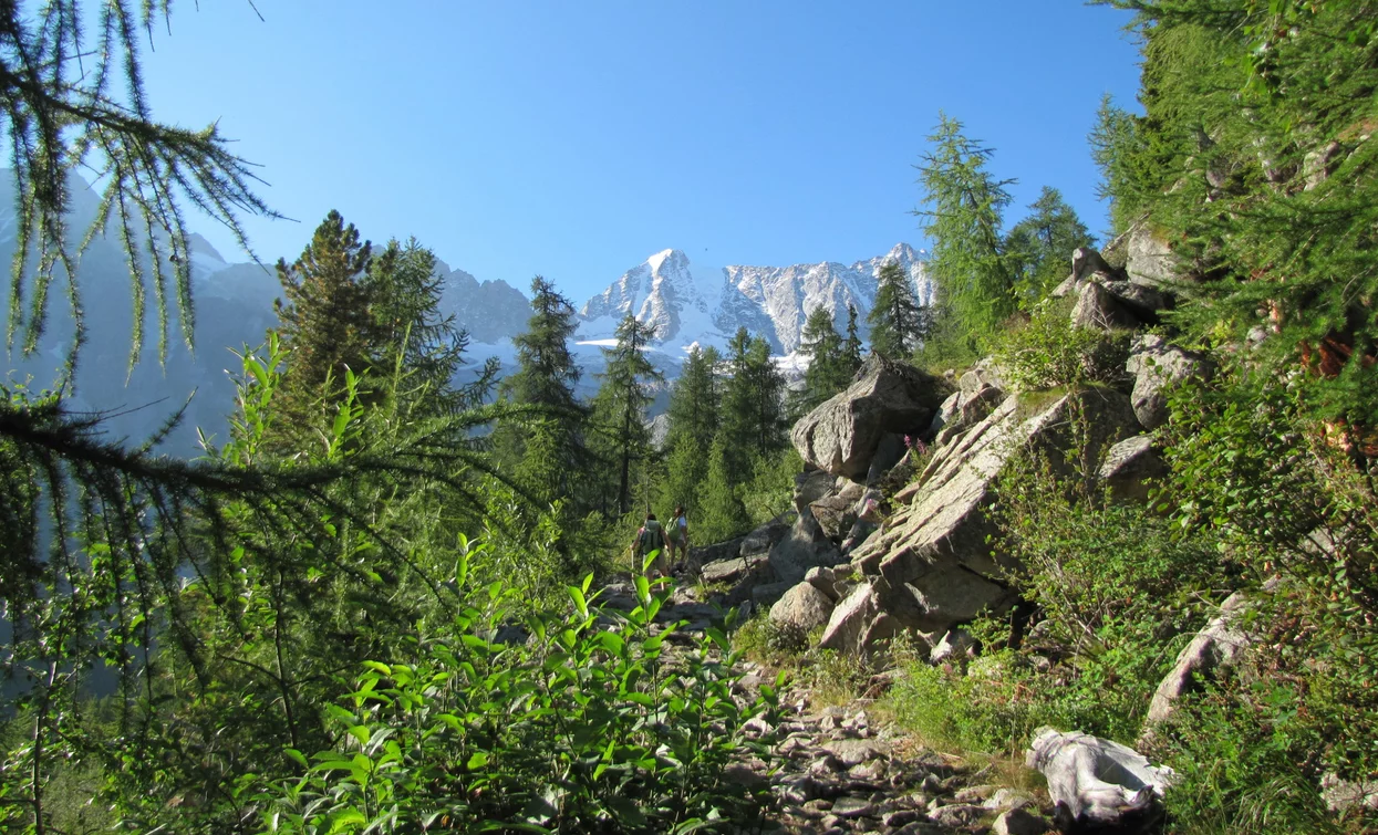Rifugio Stavel «F. Denza» alpine hut | © Ph Bezzi Paola, APT Valli di Sole, Peio e Rabbi
