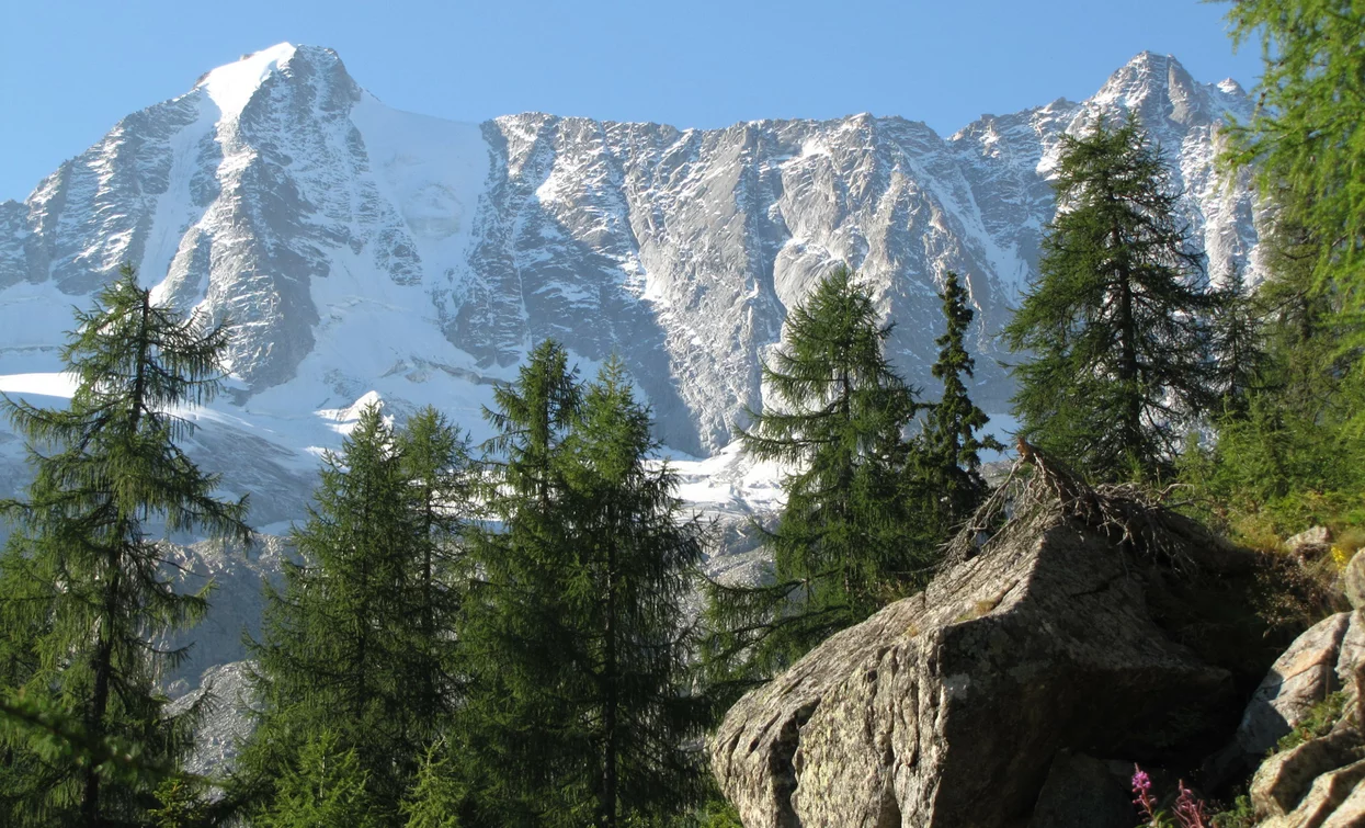 Rifugio Stavel «F. Denza» alpine hut | © Ph Bezzi Paola, APT Valli di Sole, Peio e Rabbi
