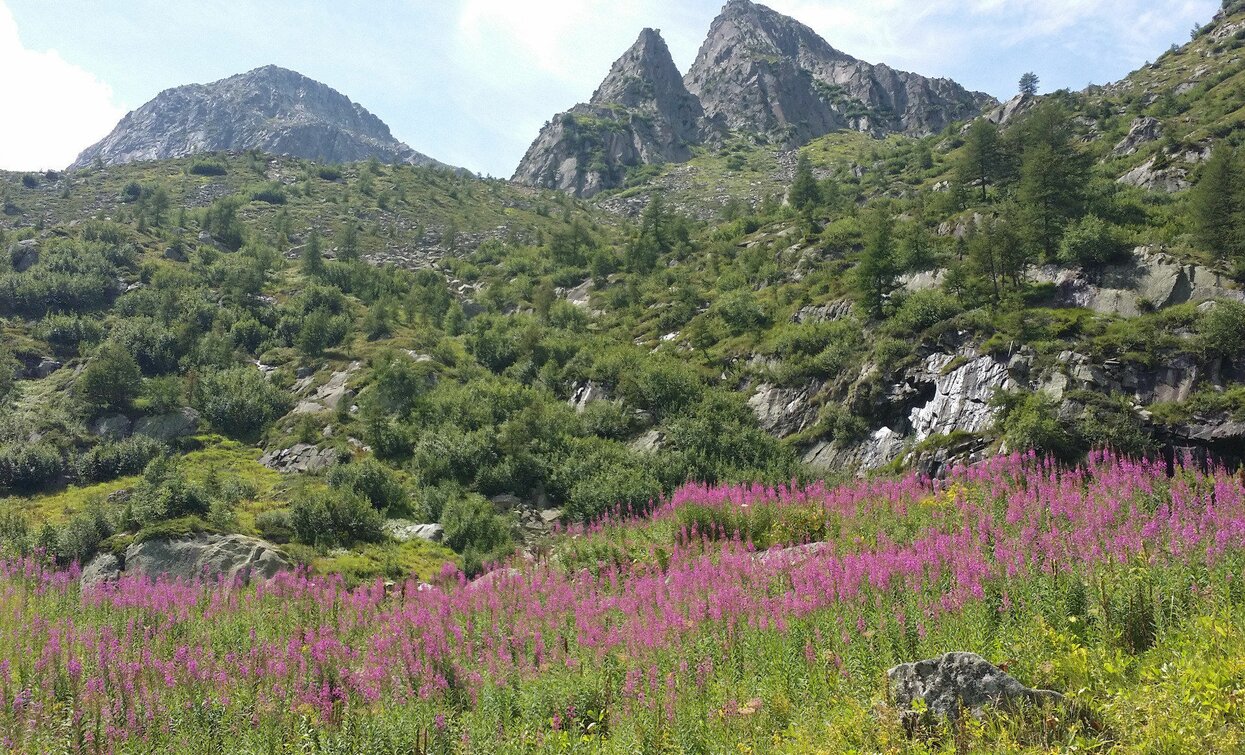 Rifugio Stavel «F. Denza» | © Ph Guide Alpine Val di Sole, APT Valli di Sole, Peio e Rabbi